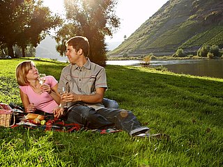 Picknick an der Mosel, Ferienland Cochem(0)