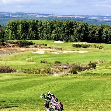 Blick auf die Grass Landschaft des Golfclubs Cochem mit Waldrand im Hintergrund