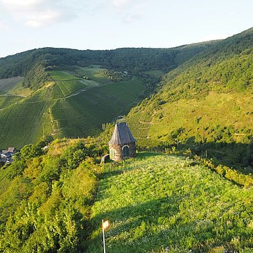 Berggrat des Burgberges