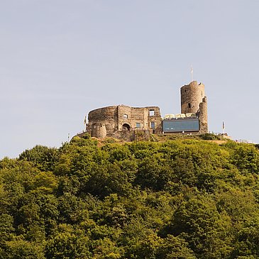Burg Landshut