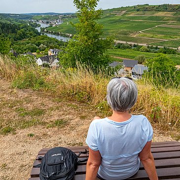 Nittel-Rehlingen mit Blick nach Wormeldange (Luxemburg)