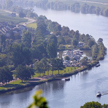 Neumagen-Dhron an der Mosel