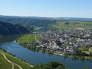 Piesport an der Mosel