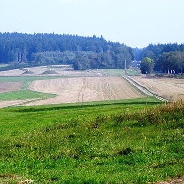 Wald- und Wiesenlandschaft im Hunsrück