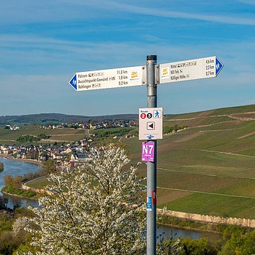 Blick von Rehlingen bei Nittel auf das Moseltal bei Wormeldange (Luxemburg)