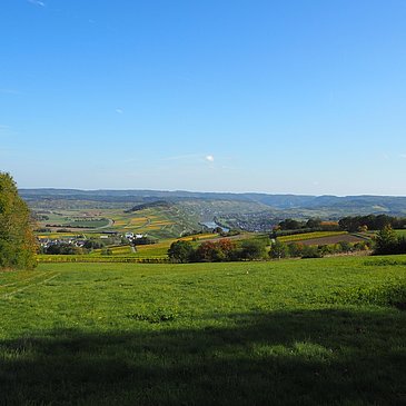 Ausblick entlang der Strecke aufs Moseltal