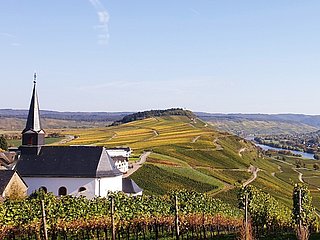 Die Weinberge im Herbst