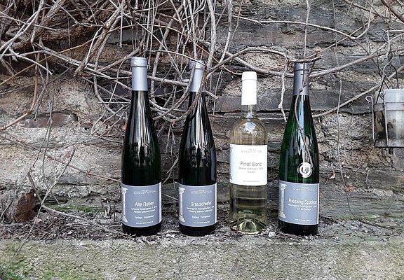 Weinflaschen Weingut Schneider- Kettern