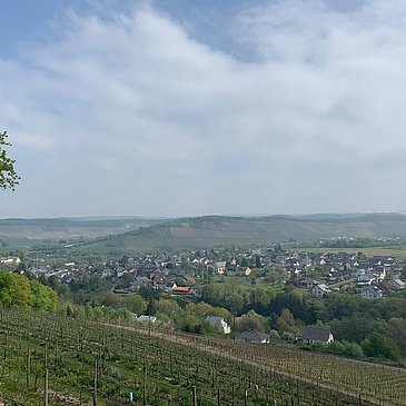 Ausblick auf Maring-Noviand