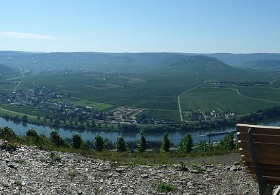 Panorama über die Mosellandschaft bei Klüsserath