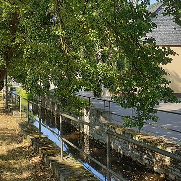 Der Fronbach in Burgen