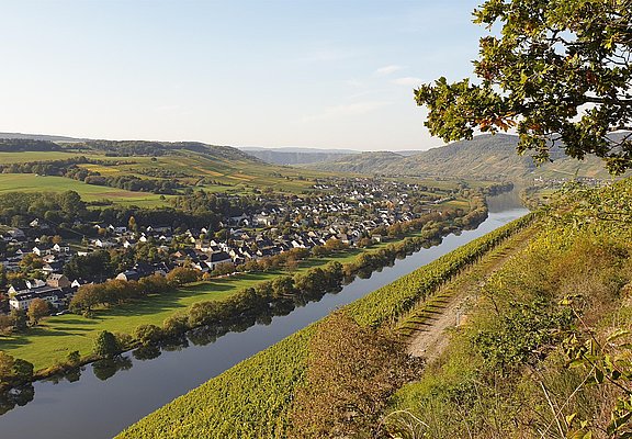 Ortschaft Brauneberg