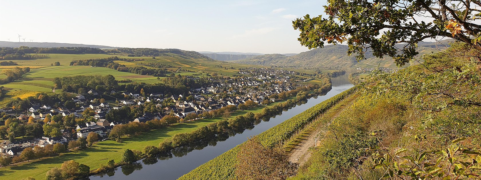 Ortschaft Brauneberg