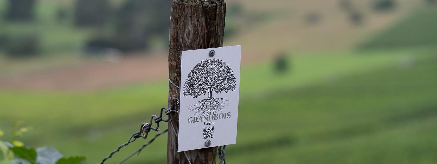 Schild im Weinberg