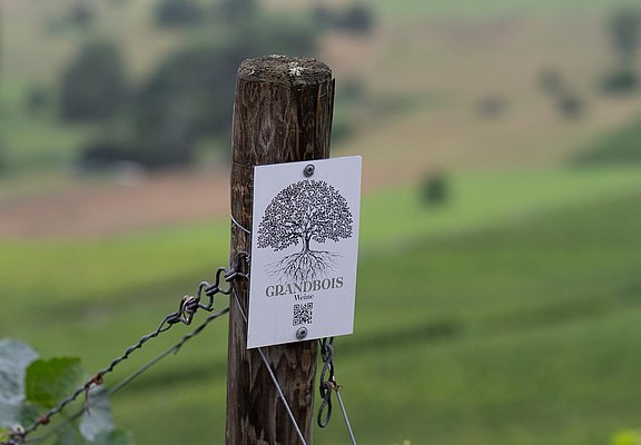 Schild im Weinberg