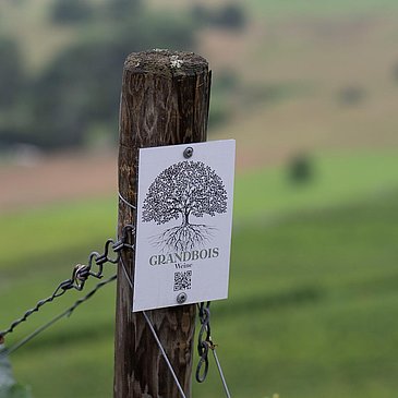 Schild im Weinberg
