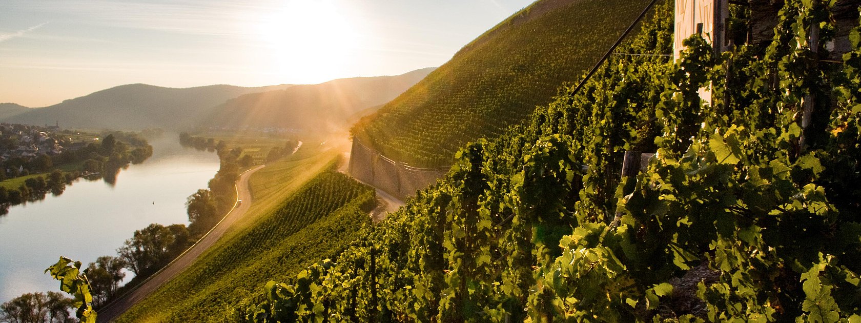 Brauenebrger Juffer hoch über dem Weinort
