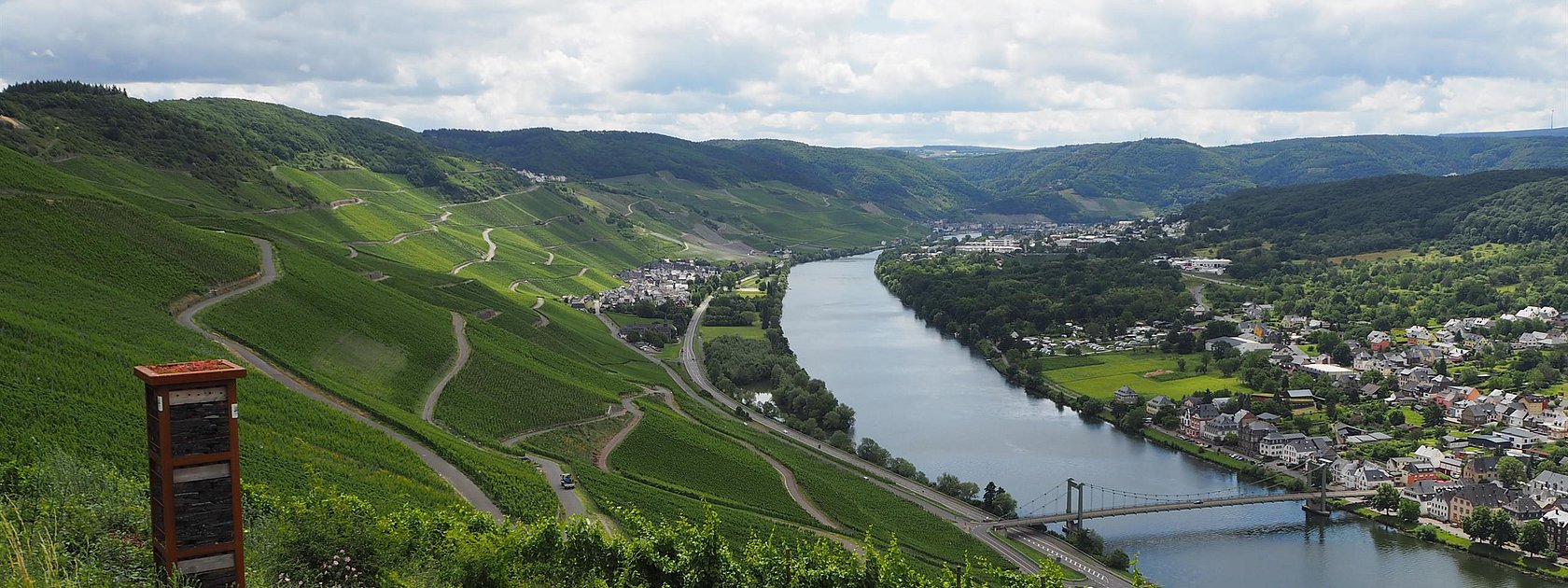 Blick auf die Weinberge