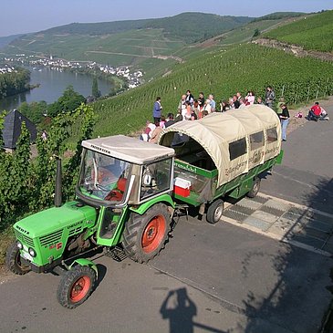 Zell Planwagen kl._dpi300