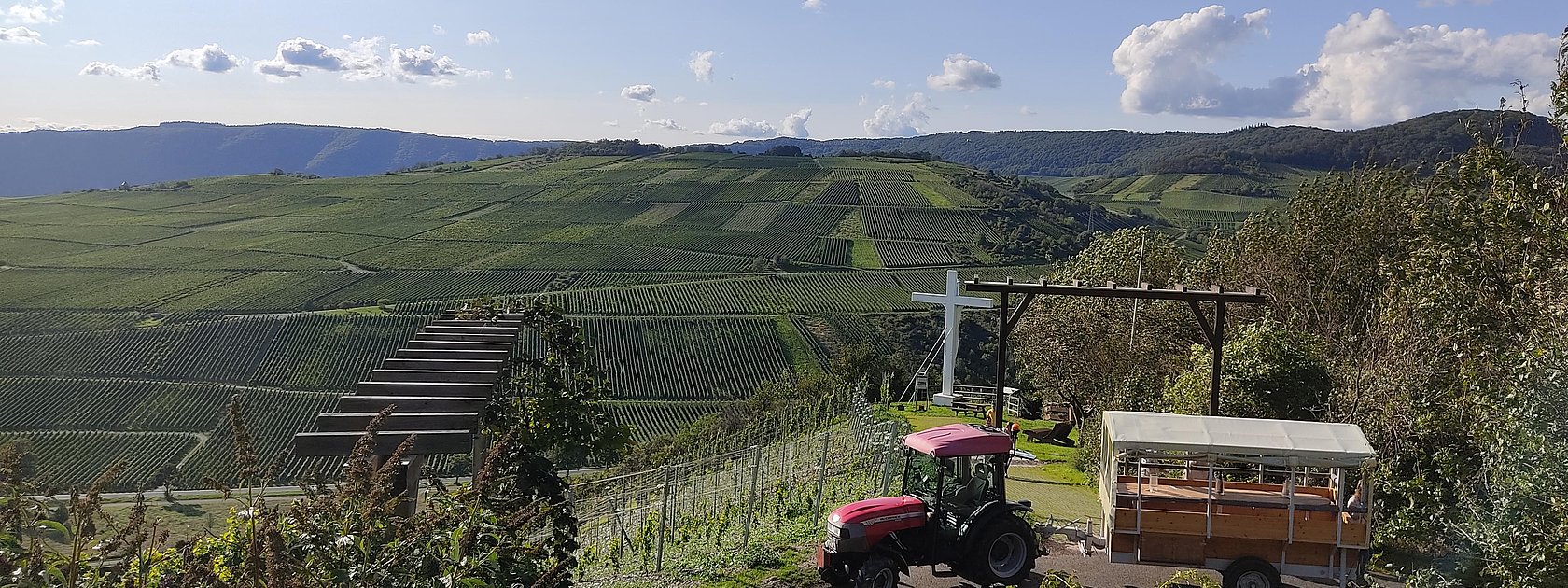 Planwagenfahrt durch die Weinberge