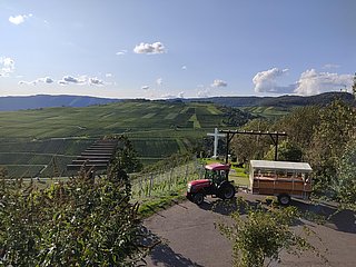 Planwagenfahrt durch die Weinberge