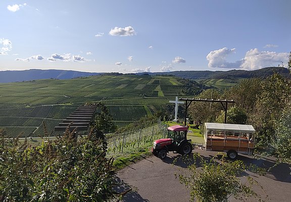 Planwagenfahrt durch die Weinberge