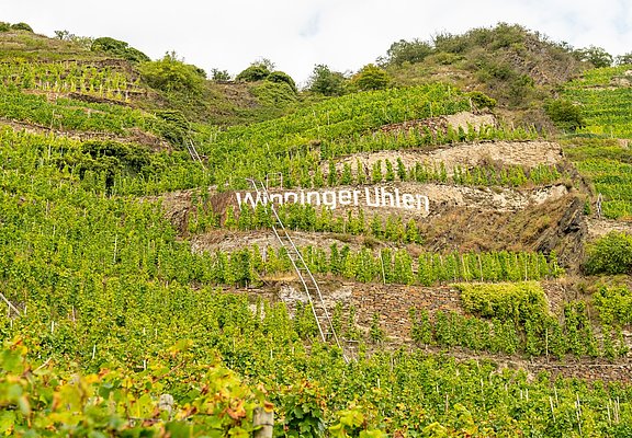 Weinberge Winningen