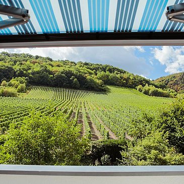 Dachterrasse Appt. Goldtropfen in Andel an der Mos