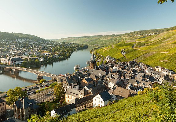 Blick auf die Altstadt