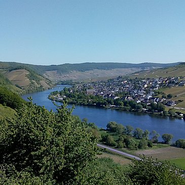 Panorama Neumagen-Dhron
