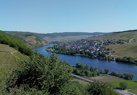 Panorama Neumagen-Dhron