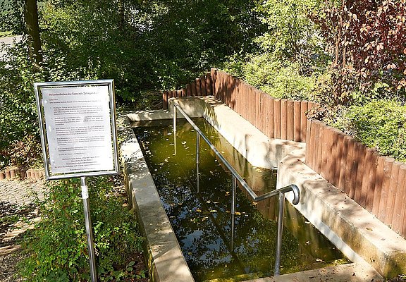 Wassertretbecken