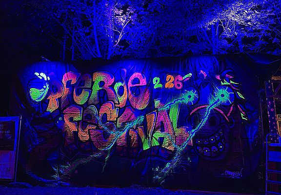 Pferdefest Illumination
