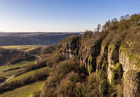 Nitteler Felsen