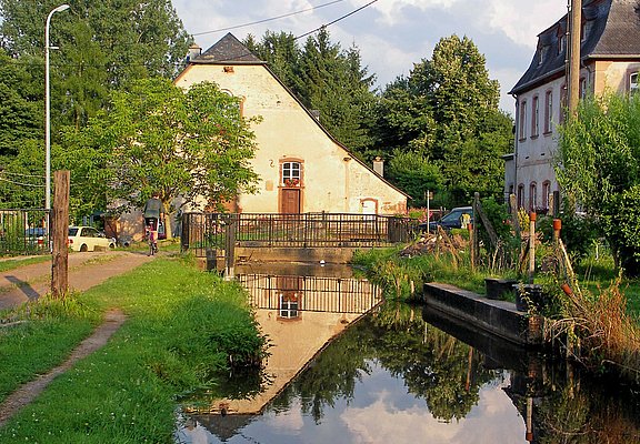 Auf dem Salm-Radweg 