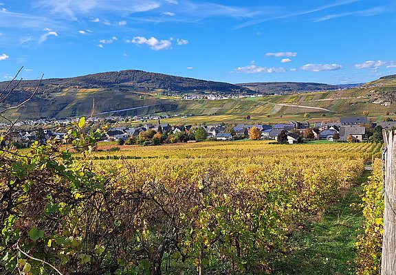 Herbst in Brauneberg