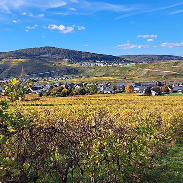 Herbst in Brauneberg