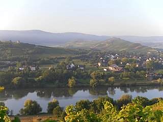 Radfahren an der Mosel in Mülheim