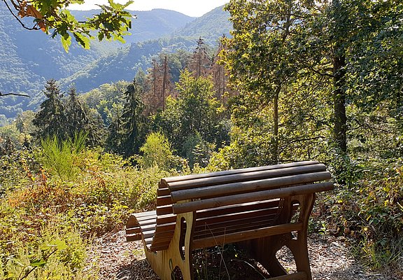 Natur pur - Rast inmitten der Wälder