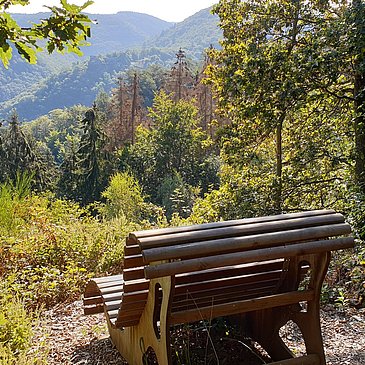 Natur pur - Rast inmitten der Wälder