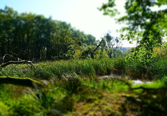 Blick auf Doline am Moselsteig