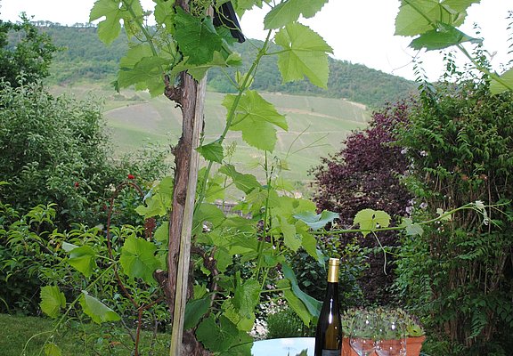 Gartenszene