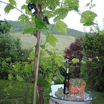 Gartenszene