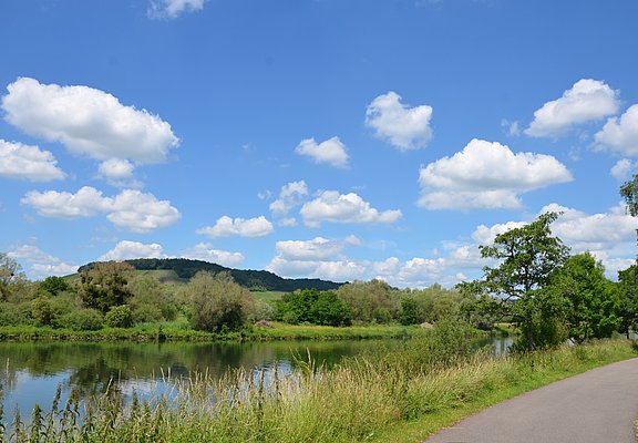 Mosel-Radweg hinter Perl