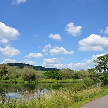 Mosel-Radweg hinter Perl