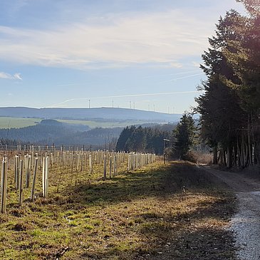 Ausblick auf den Hunsrück