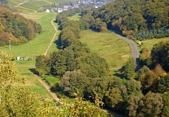Blick ins Frohnbachtal