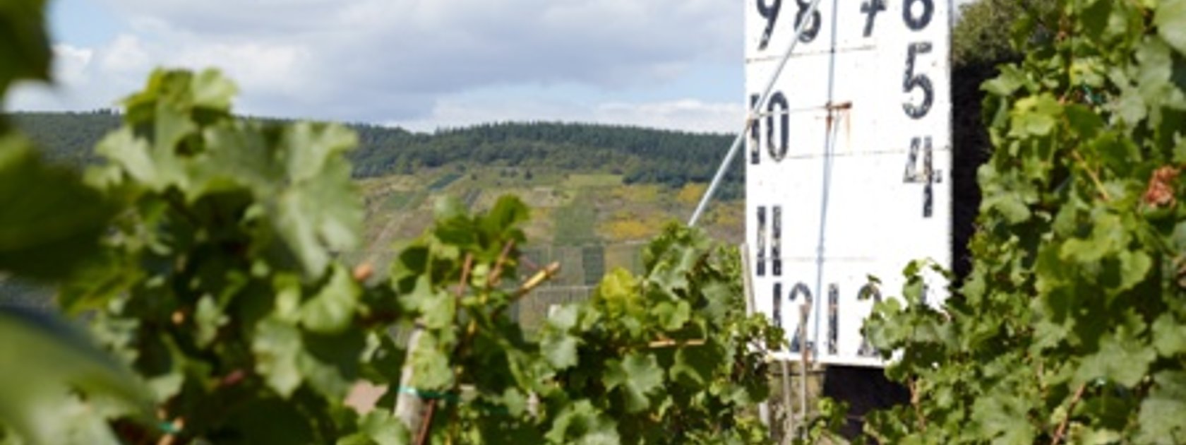 Sonnenuhr im Weinort Maring-Noviand