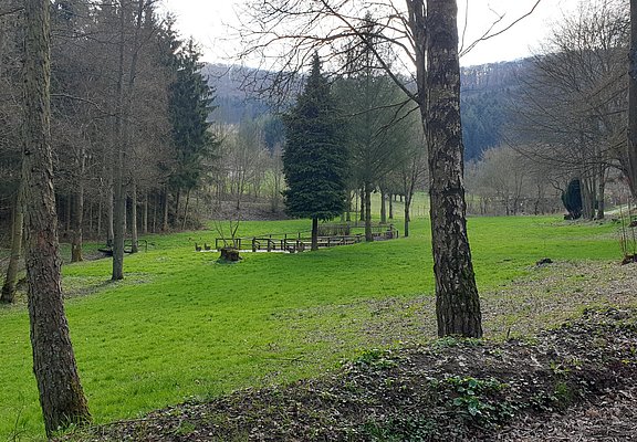 Wassertretbecken in der Nähe des Sauerbrunnen