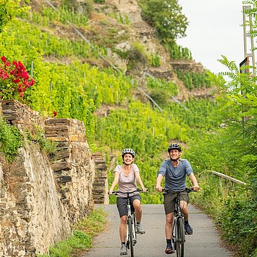 Mosel-Radweg bei Winningen 2
